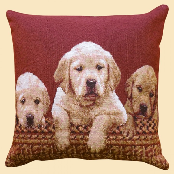 314_40x40_kissenhuelle_gross